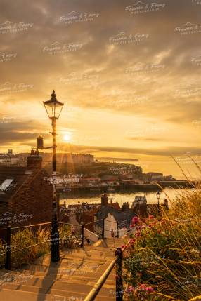 To buy a print or any of the below please click on the images